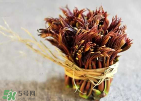 香椿幾月份可以吃？香椿什么時(shí)候吃？