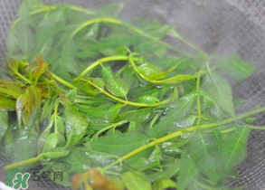 香椿為什么要焯水？香椿怎么焯水？