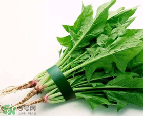 孕婦可以吃菠菜嗎？孕婦菠菜吃多了會怎樣？