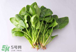 孕婦可以吃菠菜嗎？孕婦菠菜吃多了會怎樣？