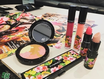 mac2017夏季fruity juicy系列有哪些？