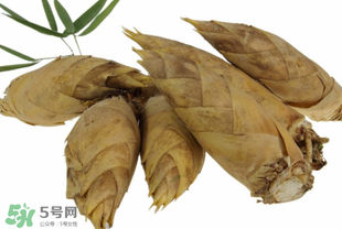 竹筍什么時候長出來？竹筍幾月份長出來？