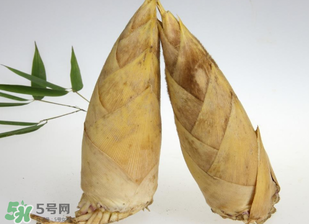 竹筍什么時候長出來？竹筍幾月份長出來？