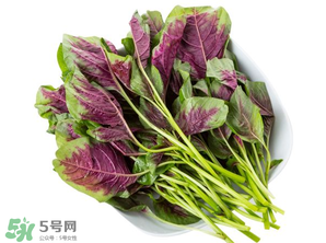 孕婦能吃莧菜嗎？孕婦可以吃莧菜嗎？