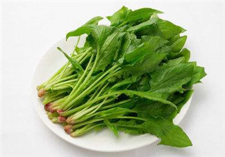 孕婦可以吃菠菜嗎？孕婦菠菜吃多了會(huì)怎樣？