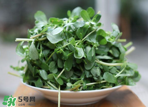 馬齒莧能治白發(fā)嗎？馬齒莧可以治白發(fā)嗎？