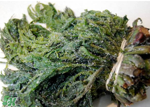 香椿腌制多久可以吃？香椿腌多長時間能吃？