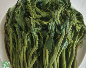 香椿腌制多久可以吃？香椿腌多長時間能吃？