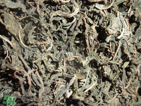 香椿可以曬干嗎？香椿怎么曬干？