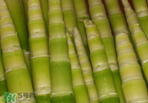 竹筍不焯水有毒嗎？竹筍不過(guò)水能吃嗎？