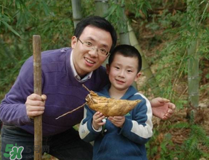 竹筍什么時(shí)候挖？竹筍幾月挖？