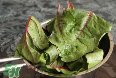 甜菜葉是否可以生吃？甜菜葉可以生吃嗎