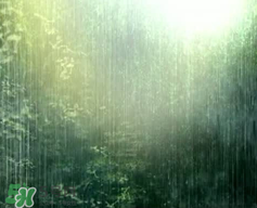 四月份會一直下雨嗎？2017年四月份為什么一直下雨？