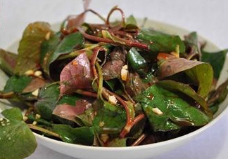 魚腥草根和葉哪個好？魚腥草根好還是葉子好
