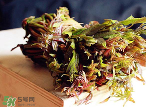 香椿很貴嗎？香椿為什么那么貴？