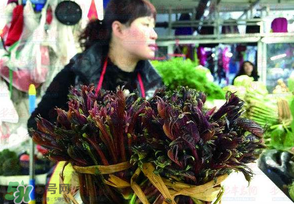 香椿很貴嗎？香椿為什么那么貴？