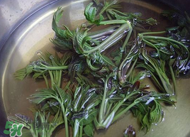 香椿為什么要用開水燙？香椿用開水燙多久？