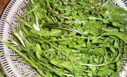 地菜是什么菜？地菜是不是薺菜