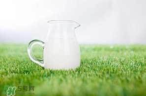 香椿可以和牛奶一起吃嗎？香椿和牛奶能一起吃嗎？