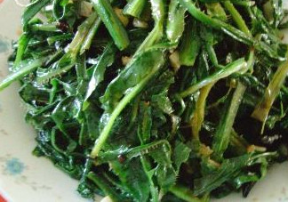 苦苦菜是什么菜？苦苦菜是苦苣嗎