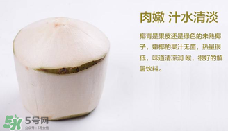 孕婦能不能喝椰青？椰青孕婦能喝嗎？