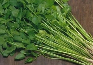 水芹菜是什么菜？水芹菜是野芹菜嗎