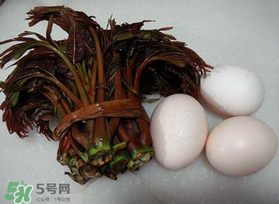 哺乳期可以吃香椿炒雞蛋嗎？哺乳期可以吃香椿炒雞蛋嗎？