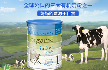 貝拉米奶粉報價多少？貝拉米奶粉價格多少？