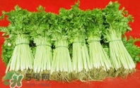水芹菜怎么吃？水芹菜的做法