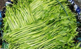 水芹菜怎么吃？水芹菜的做法