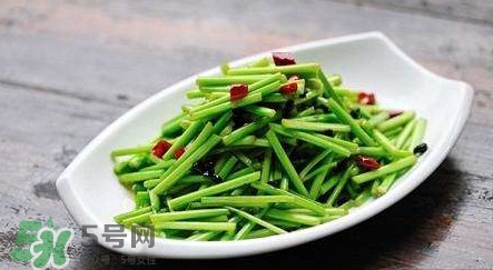 水芹菜孕婦能吃嗎？懷孕的人可以吃水芹菜嗎