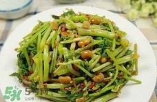 吃水芹菜有什么好處？吃水芹菜有哪些好處