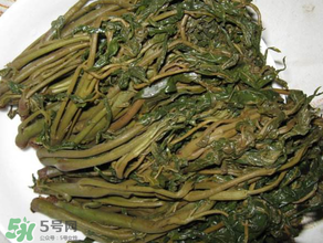 腌香椿要燙嗎？香椿腌之前用不用開水燙？