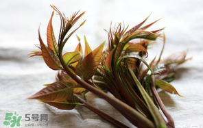 香椿怎么洗？香椿芽怎么洗干凈？
