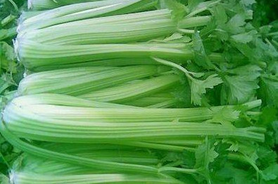 水芹菜和芹菜一樣嗎？水芹菜和芹菜的區(qū)別