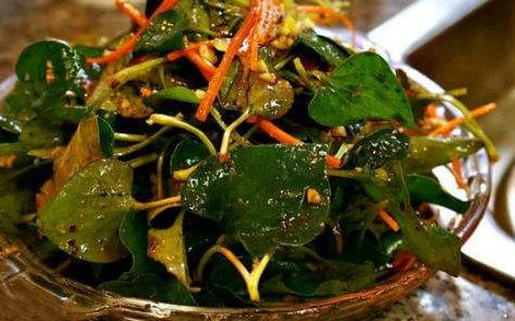 魚腥草根和葉哪個好？魚腥草根好還是葉子好