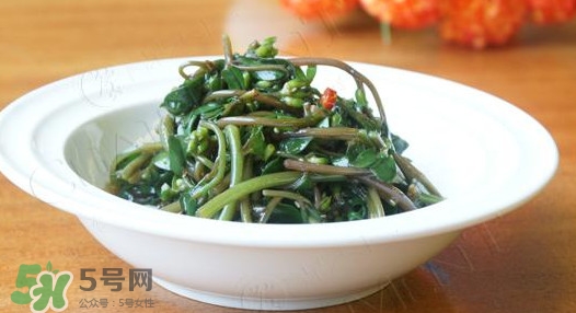 馬莧菜怎么吃？馬莧菜怎么做好吃