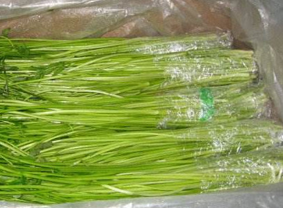 水芹菜如何保鮮？水芹菜怎么保鮮