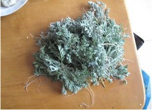 白蒿是茵陳嗎？白蒿與茵陳有什么區(qū)別