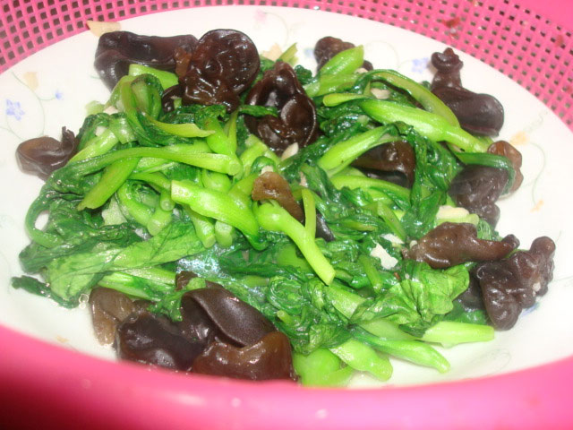 雞毛菜是什么菜？雞毛菜是小白菜嗎