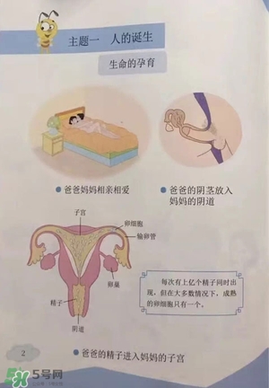 孩子瀏覽成人網(wǎng)站怎么辦？小學(xué)性教育有沒有必要？
