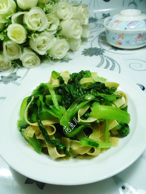 雞毛菜是什么菜？雞毛菜是小白菜嗎