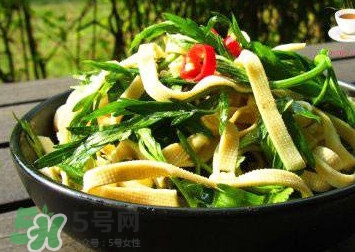 水芹菜的葉子可以吃嗎？水芹菜葉子能吃嗎