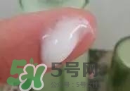 一葉子和百雀羚哪個好？一葉子和百雀羚面膜對比