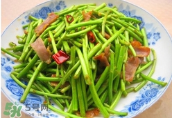 藜蒿葉子能吃嗎？藜蒿葉子可以吃嗎