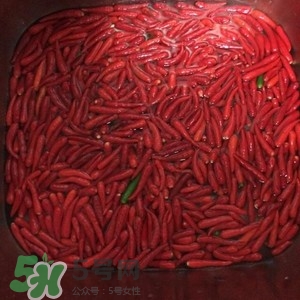 辣醬怎么做好吃？四川辣醬的制作方法