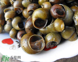 田螺可以凈化水質(zhì)嗎？田螺能凈化水質(zhì)嗎？