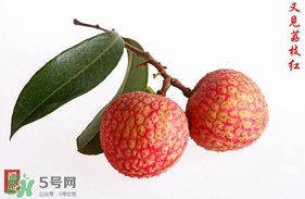 4月份有荔枝嗎？四月份有荔枝嗎？