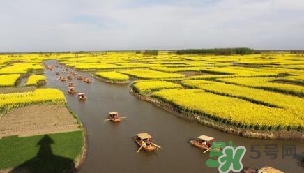四月份去哪里旅游比較好？四月份最適合旅游的地方