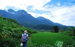 四月份去哪里旅游比較好？四月份最適合旅游的地方